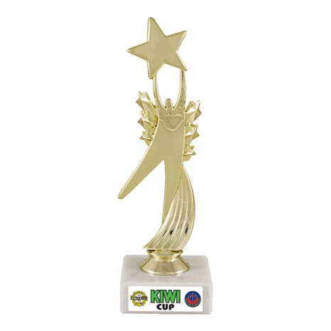Star Award  statuett 17 cm med eget vinylmotiv