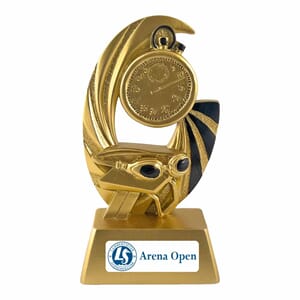 Swim statuett 11 cm med eget vinylmotiv