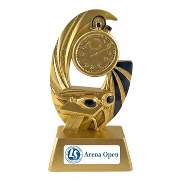 Swim statuett 11 cm med eget vinylmotiv