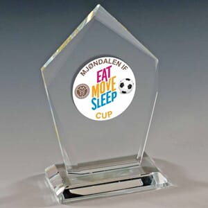 Trysil plakett 11 cm med eget vinylmotiv