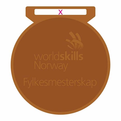 WorldSkills Fylkesmesterskap Bronse