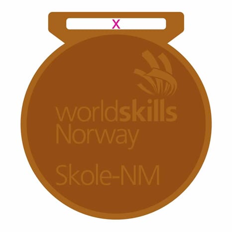 WorldSkills Skole NM Bronse