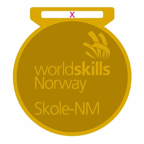 WorldSkills Skole NM Gull