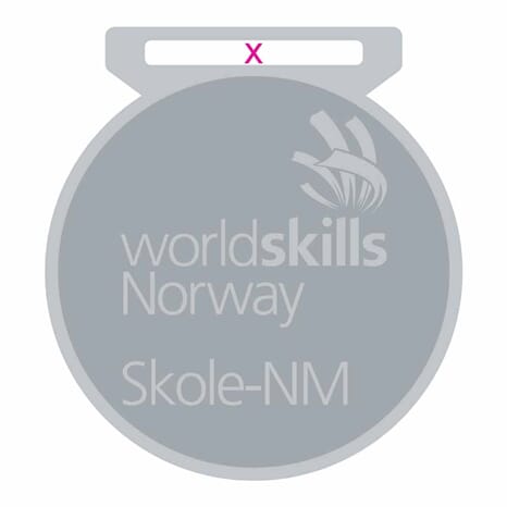 WorldSkills Skole NM Sølv