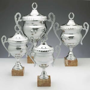 Norway Cup pokaler med lokk i 6 størrelser