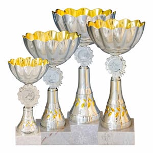 Dakar pokaler i 9 størrelser