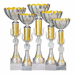 Arizona pokaler i 9 størrelser