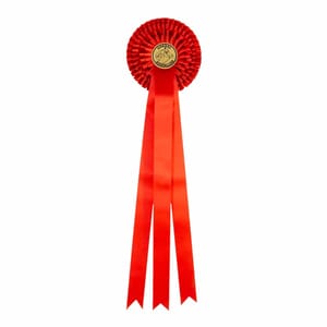 Rød rosett 58 cm