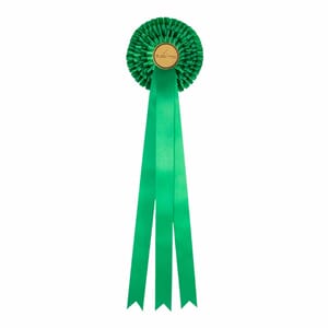 Grønn rosett 58 cm