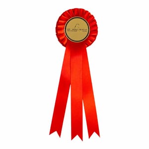 Rød rosett 25 cm
