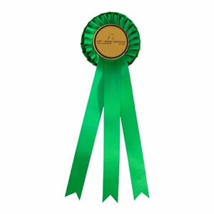 Grønn rosett 25 cm