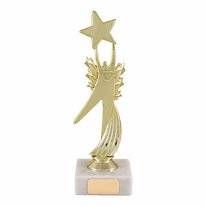 Star Award  statuett 17 cm